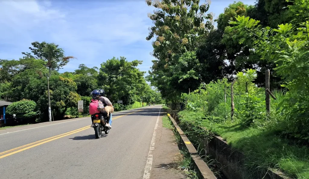 moto with dog and people